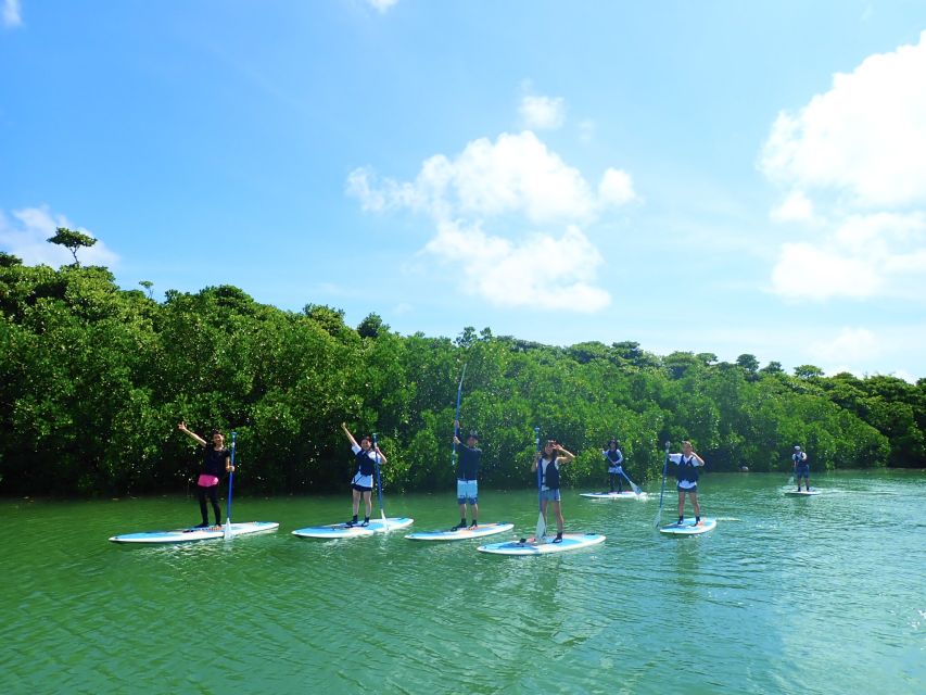 Ishigaki Island: 2-Hour Miyara River SUP or Canoeing Tour - Photos, showers, and what is included