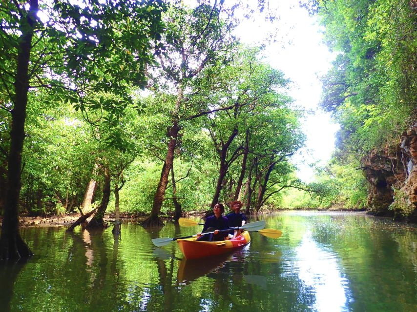 Ishigaki Island: 2-Hour Miyara River SUP or Canoeing Tour - Rain, timing, and the limits of a short tour