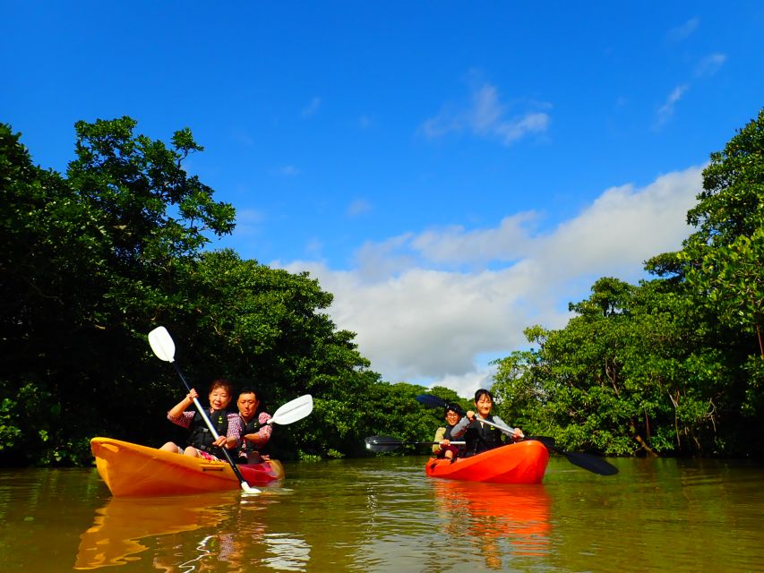 Ishigaki Island: 2-Hour Miyara River SUP or Canoeing Tour - Starting at Ishigaki Port Remote Island Terminal