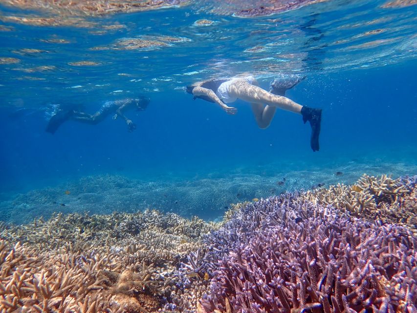 Ishigaki Island: Boat Snorkeling Tour at Phantom Island - Why Phantom Island is worth the boat ride