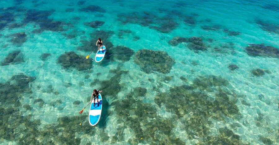 Ishigaki Island: SUP or Kayaking experience at Kabira Bay - A 15-minute lesson makes the first strokes easier