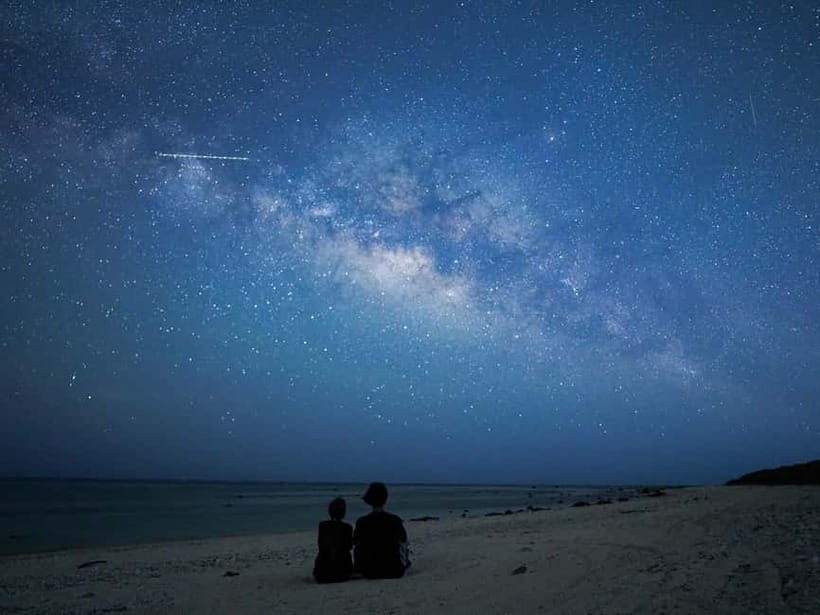 Ishigaki: Jungle Walk and Stargazing Night Tour - Why Ishigaki’s jungle is worth seeing after dark
