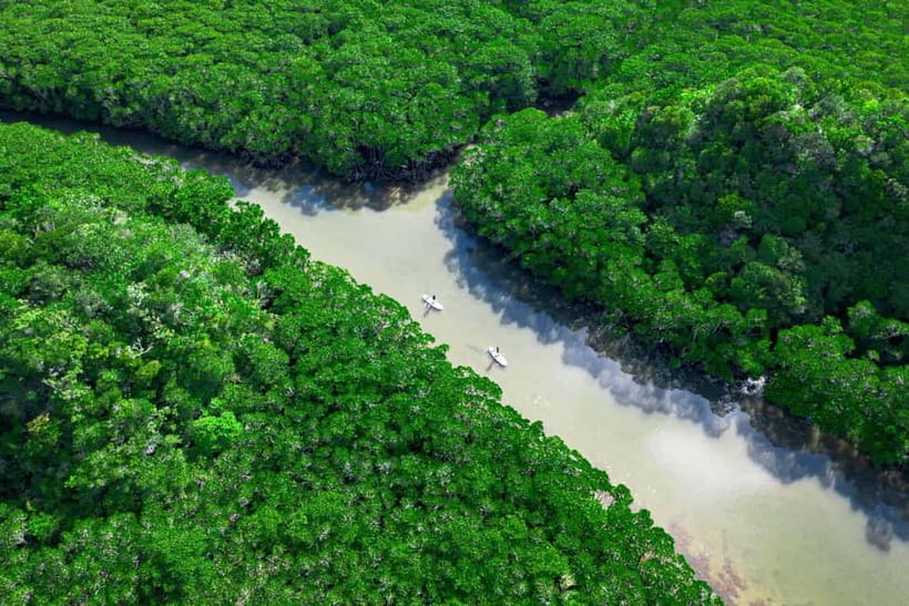 Ishigaki:Mangrove&Sea SUP/Kayak Tour with SLR&Drone footage - How the photography sessions fit into the trip