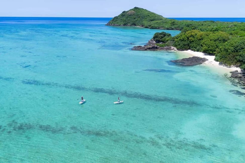 Ishigaki:Mangrove&Sea SUP/Kayak Tour with SLR&Drone footage - What the guide adds to the paddle