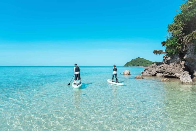 Ishigaki:Mangrove&Sea SUP/Kayak Tour with SLR&Drone footage - Is $48 a good value for two hours?