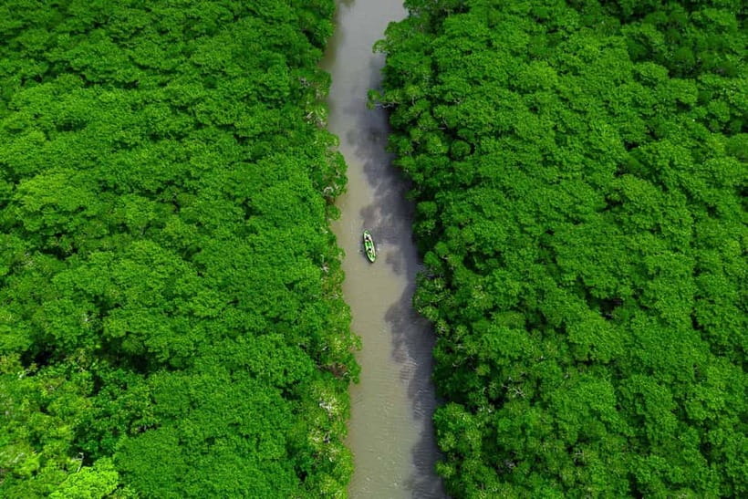 Ishigaki:Mangrove&Sea SUP/Kayak Tour with SLR&Drone footage - Weather, tides, and the limits of outdoor plans