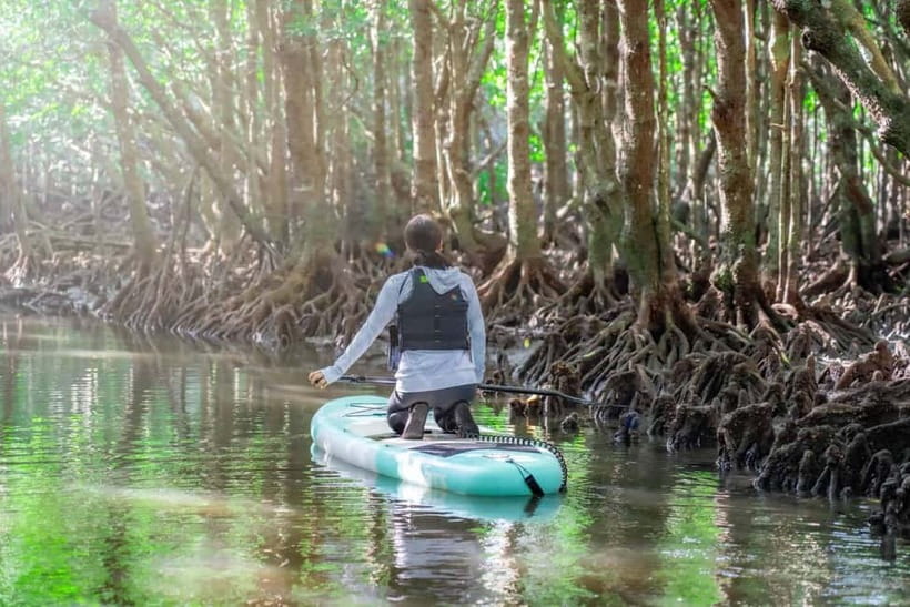 Ishigaki:Mangrove&Sea SUP/Kayak Tour with SLR&Drone footage - What to wear and bring to Fukidogawa