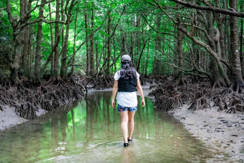 Ishigaki:Mangrove&Sea SUP/Kayak Tour with SLR&Drone footage - Who will enjoy this Ishigaki kayak and SUP tour?