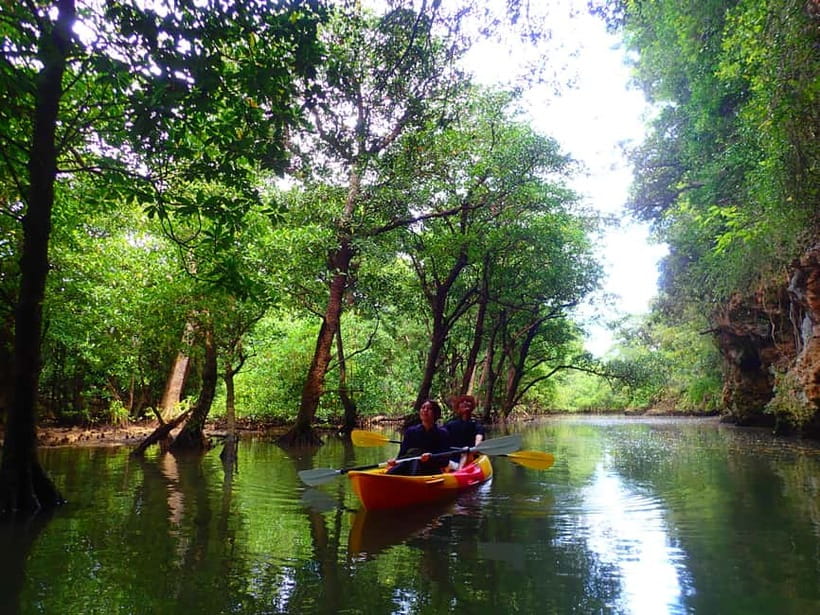 Ishigaki: Mangrove SUP or Canoe & Phantom Island Snorkeling - Snorkeling among fish and coral