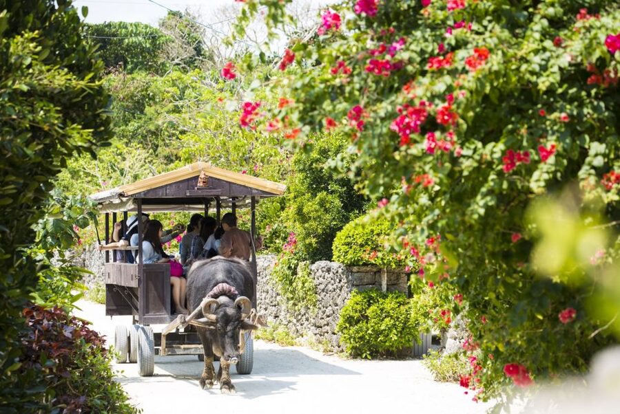 Ishigaki: Phantom Island Snorkeling and Taketomi Sightseeing - FAQ