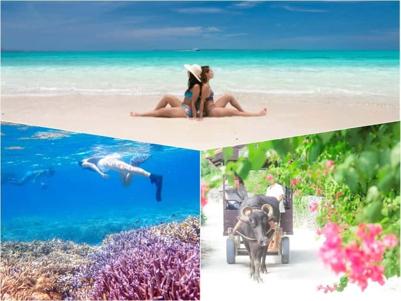 Ishigaki: Phantom Island Snorkeling and Taketomi Sightseeing - Why Hamajima makes this day different