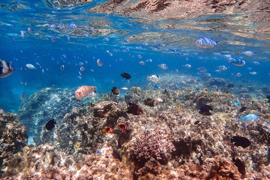 Ishigaki: Phantom Island Snorkeling and Taketomi Sightseeing - Taketomi’s traditional streets and beaches