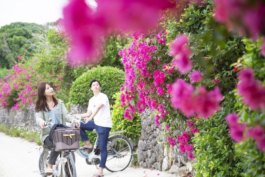 Ishigaki: Phantom Island Snorkeling and Taketomi Sightseeing - Meeting point and a smooth start