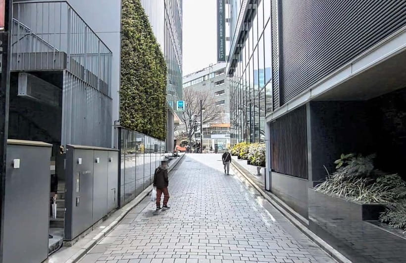 Kabukicho Macabre Tour - the Real Tokyo Vice - Key points about the Kabukicho Macabre Tour