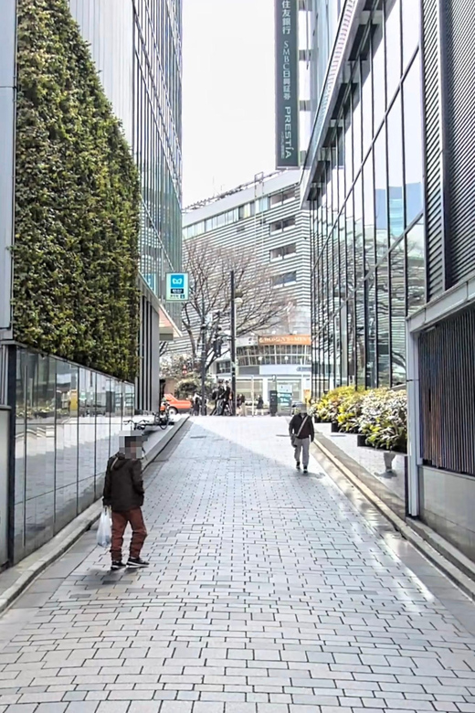 Kabukicho Macabre Tour - the Real Tokyo Vice - The first stretch: Kabukicho’s red-light district
