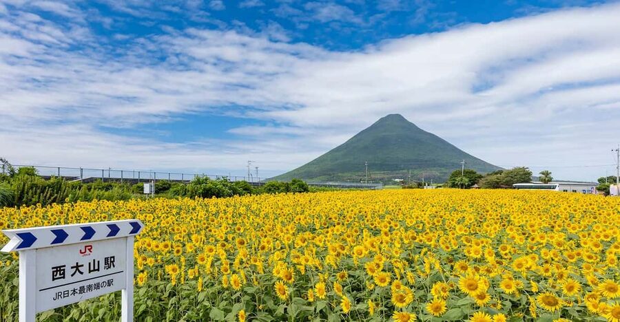 Kagoshima: Ibusuki City and Mount Kaimon Dake Tour - Mount Kaimon and the southern views