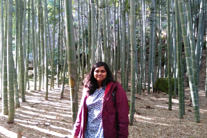 Kamakura 8 hr Private Walking Tour with Licensed Guide from Tokyo - How the private format changes the day