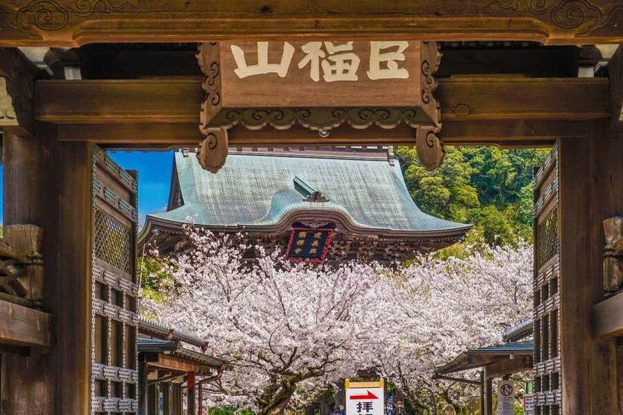 Kamakura: A Journey Through Medieval Japan - Key points to know before booking
