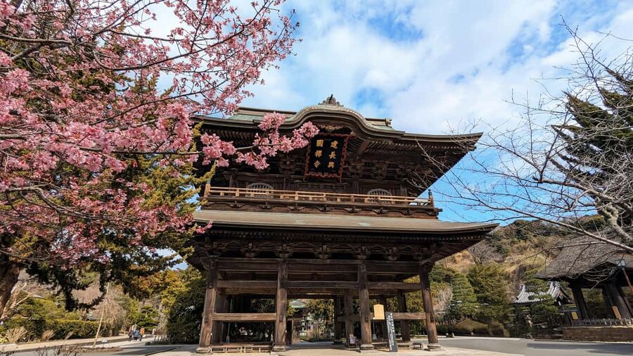 Kamakura: A Journey Through Medieval Japan - Shojin-ryori turns lunch into part of the lesson