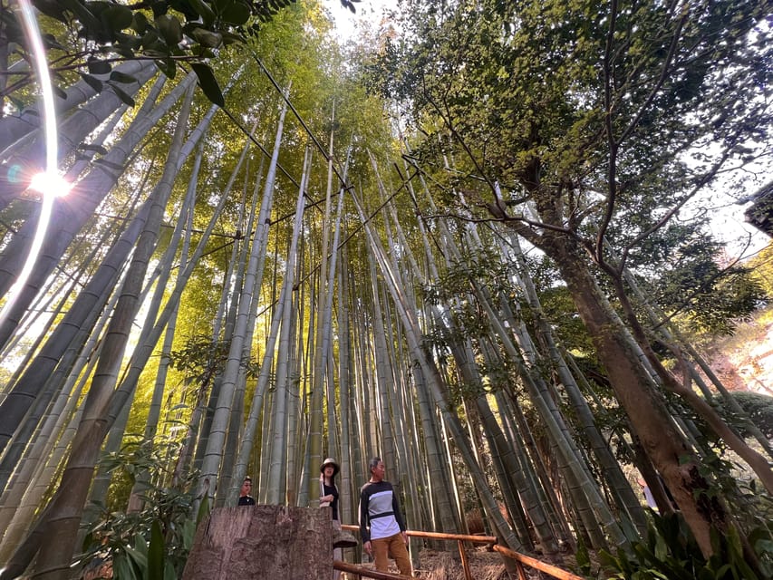 Kamakura and Enoshima: Private Guided Day Tour with Vehicle - Key details to know before booking