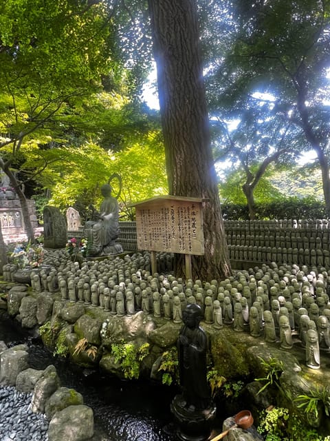 Kamakura and Enoshima: Private Guided Day Tour with Vehicle - Hase-dera combines gardens and coastline views
