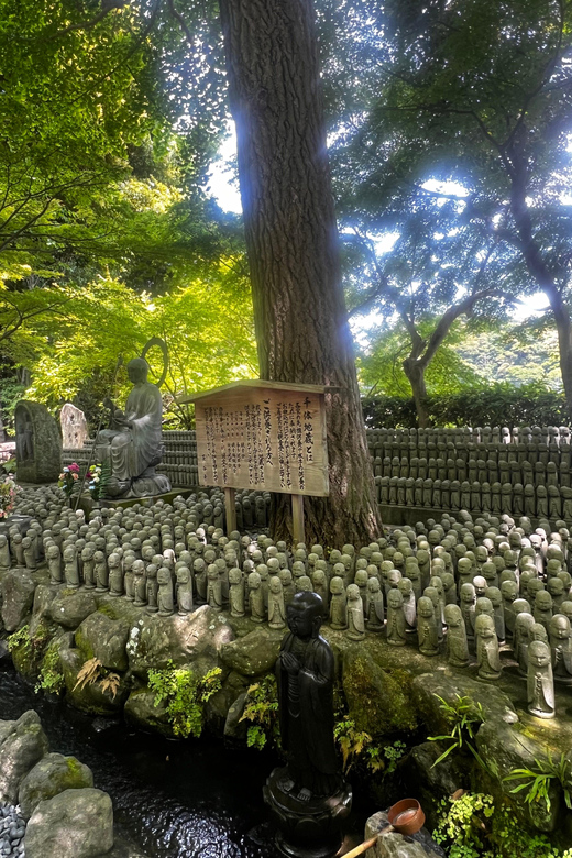 Kamakura and Enoshima: Private Guided Day Tour with Vehicle - Hokokuji Bamboo Forest and tea