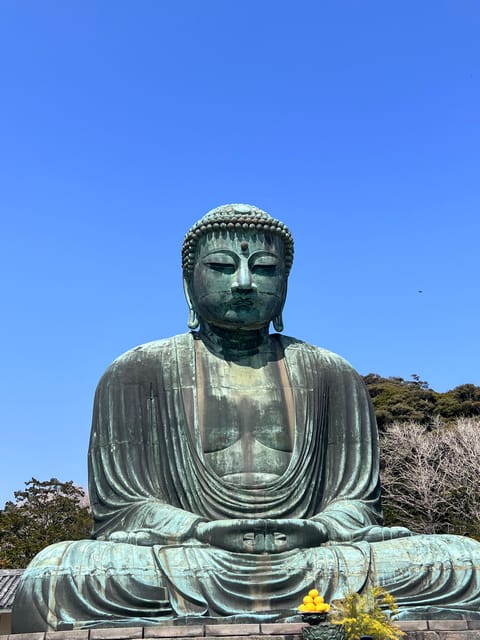 Kamakura and Enoshima: Private Guided Day Tour with Vehicle - Starting with the Great Buddha at Kotoku-in