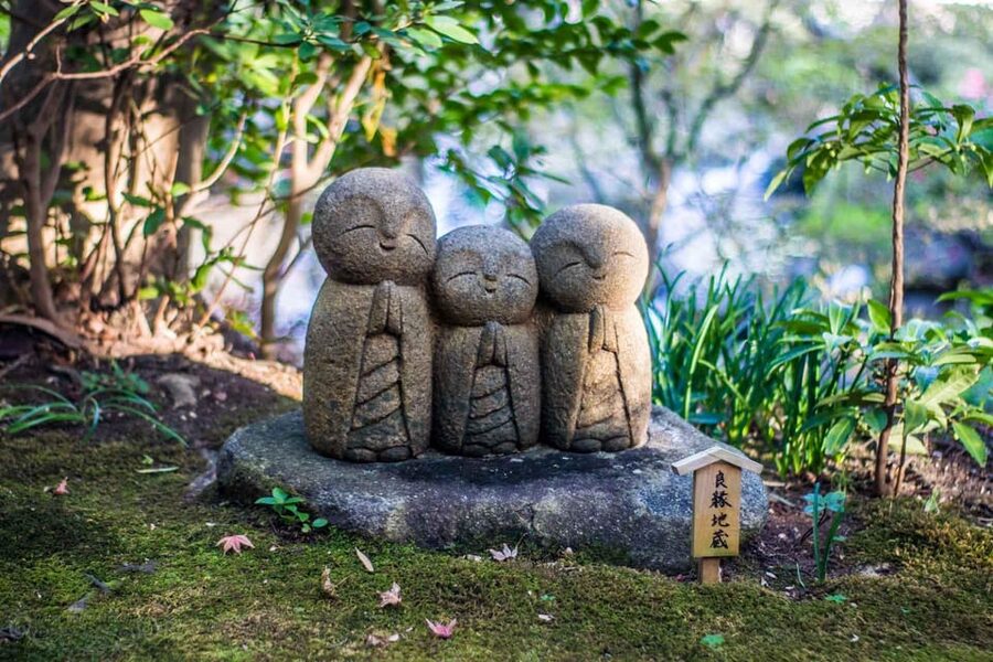 Kamakura Half Day Tour with a Local Expert Guide - Key points to know before you book