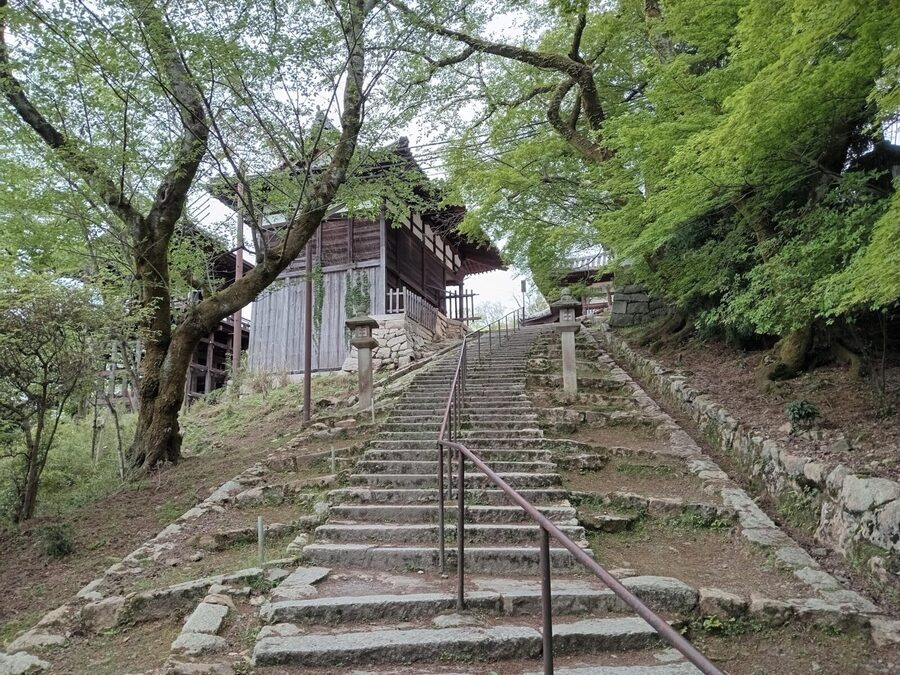 Kamakura Half Day Tour with a Local Expert Guide - Zen temples, gardens, and quieter corners