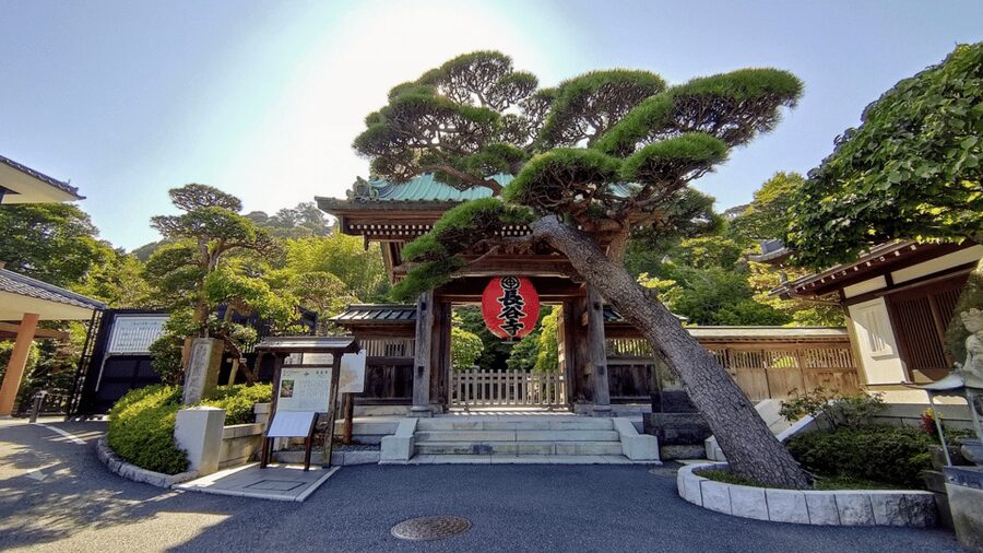 Kamakura Half Day Tour with a Local Expert Guide - The Great Buddha and Kamakura’s famous side
