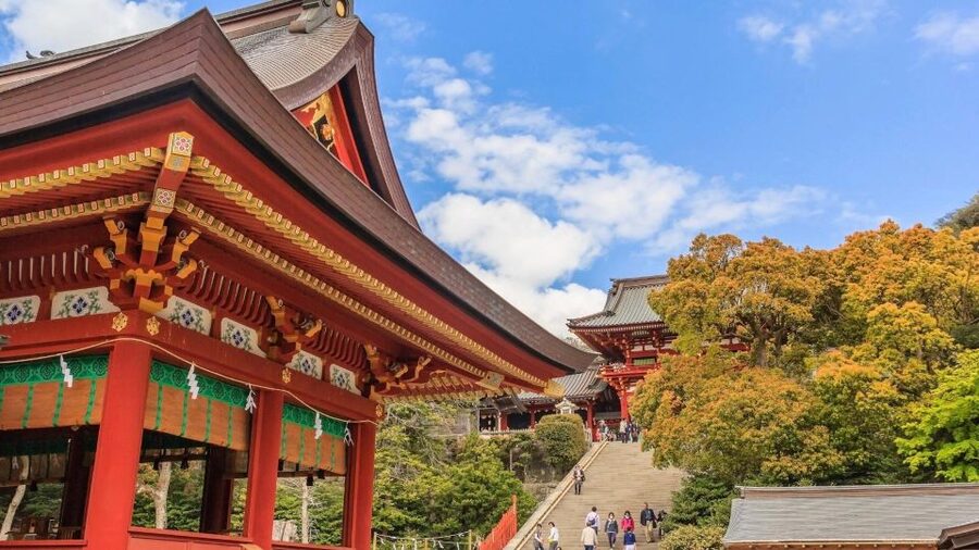 Kamakura Half Day Tour with a Local Expert Guide - What the guide adds, and where the service varies