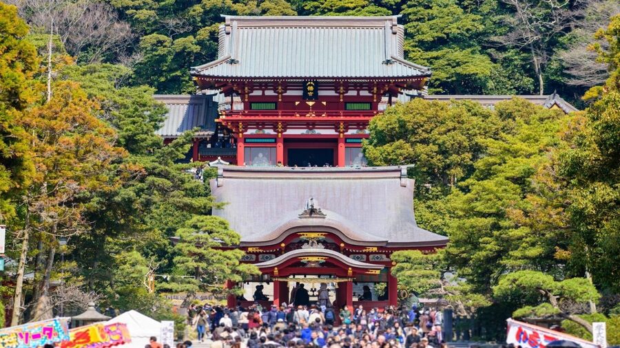 Kamakura Half Day Tour with a Local Expert Guide - A closer look at the $87 price