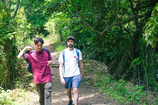 Kamakura Historical Walking Tour with the Great Buddha - Yuigahama Beach and the coast