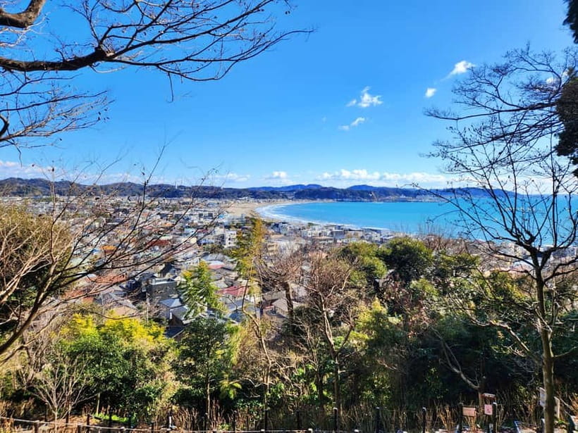Kamakura Private & Customizable Tour - All-in-One Experience - Should you book this Kamakura tour?