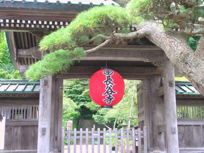 Kamakura Temples Private Guided Tour from Tokyo - What the day does well, and where it falls short