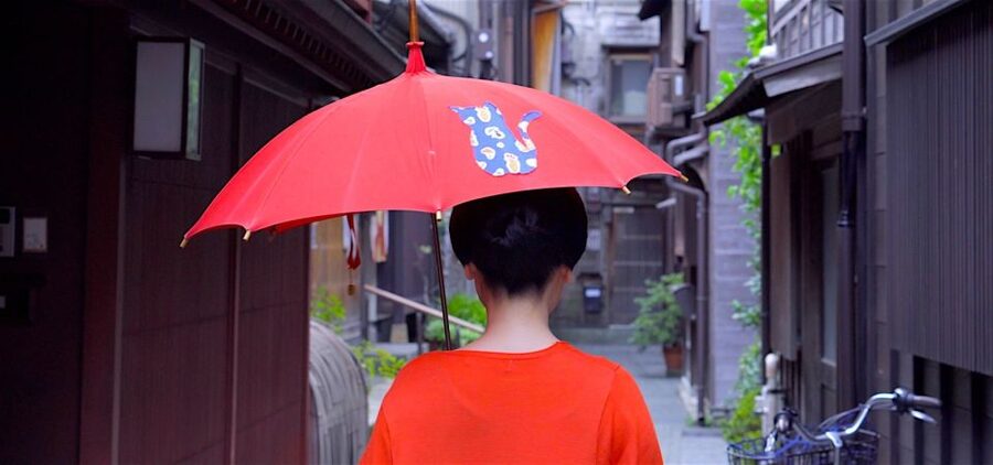 Kanazawa: Half-Day Private Guided Tour - Walking through the preserved samurai district