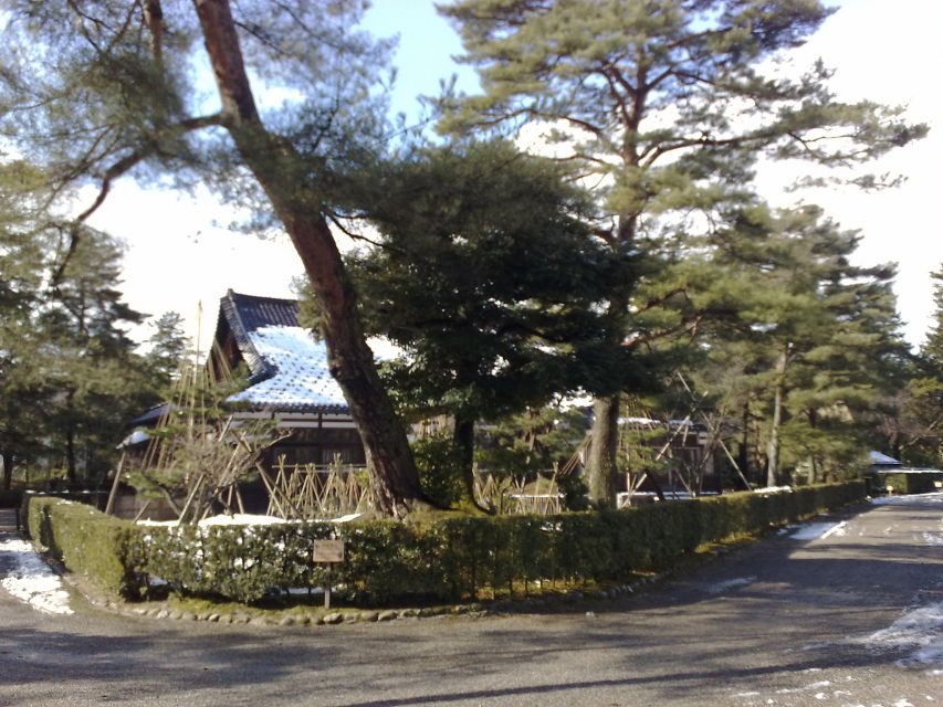 Kanazawa: Private Walking Tour with a Local - Omicho Market and Kanazawa food culture