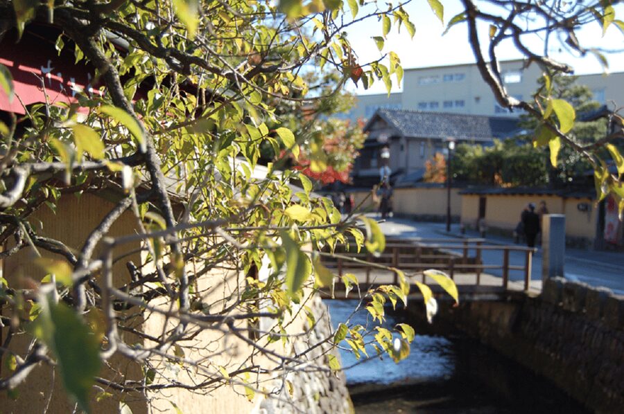 Kanazawa: Samurai Residence Remains Nomura Family admission - Should You Book the Nomura Residence?