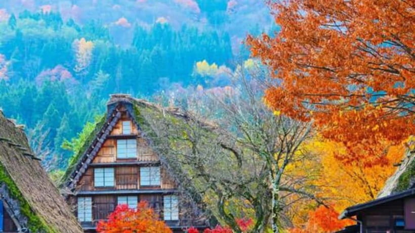 Kanazawa/Takayama: Shirakawago & Takayama Private Day Tour - Key points to know before booking