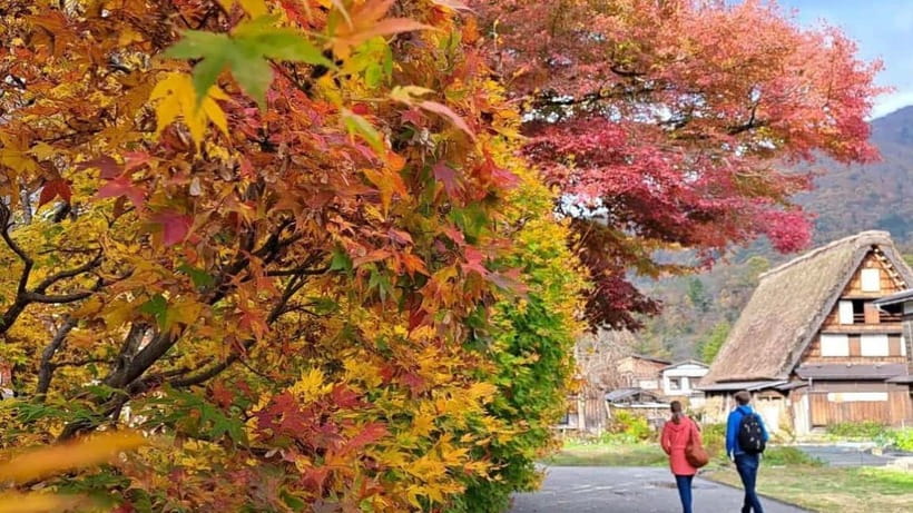 Kanazawa/Takayama: Shirakawago & Takayama Private Day Tour - Why this private route works so well