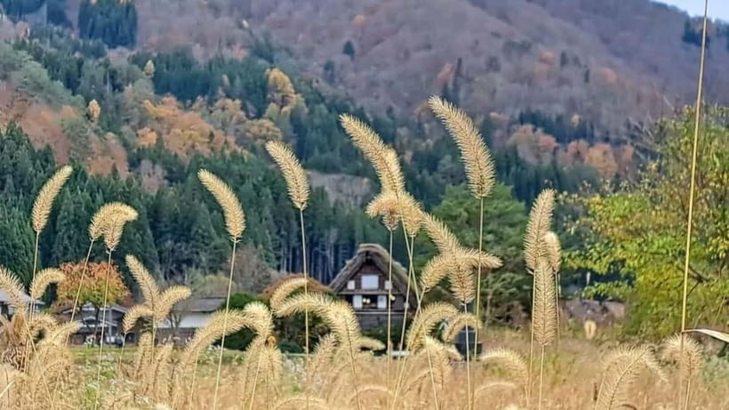 Kanazawa/Takayama: Shirakawago & Takayama Private Day Tour - Shirakawa-go and the Ogi-machi viewpoint