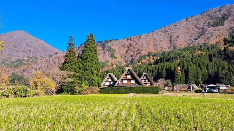 Kanazawa/Takayama: Shirakawago & Takayama Private Day Tour - Who gets the best value from this tour