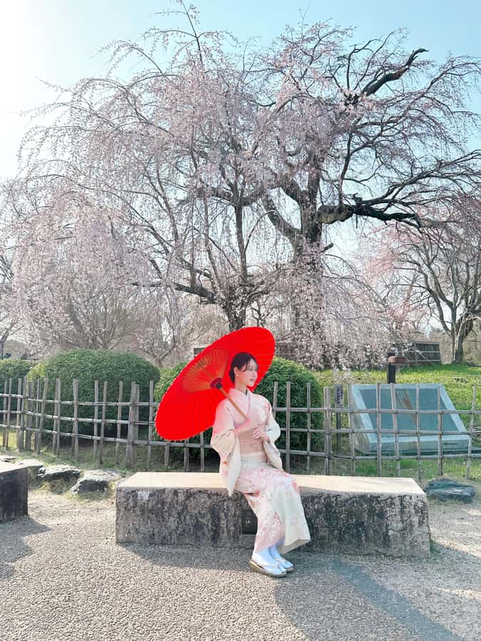 Kanazawa:Traditional Experience -kimono rent at wargo - Choosing a kimono from traditional to modern