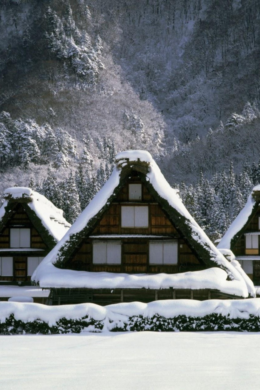 Kanazawa: World Heritage Shirakawa-go & Two Local Experience - Higashi Chaya and Kanazawa’s gold leaf tradition