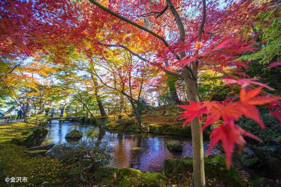 Kanazawa: World Heritage Shirakawa-go & Two Local Experience - What $116 includes, and what it does not