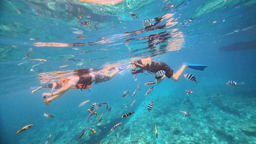 Kerama Half-Day Snorkeling Tour - Staff support and language options