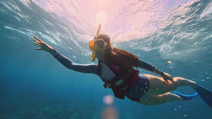 Kerama Half-Day Snorkeling Tour - Clear water, coral, and the limits of a beginner tour