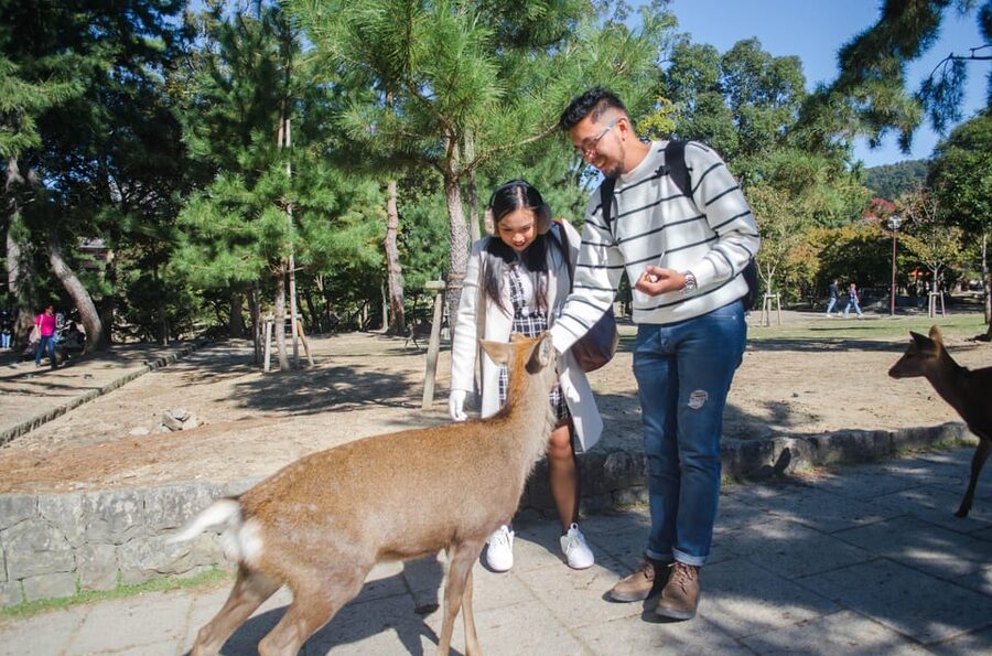 Kobe: Private Walking Shore Excursion- Kyoto/Osaka/Nara/Kobe - Walking demands and practical limits