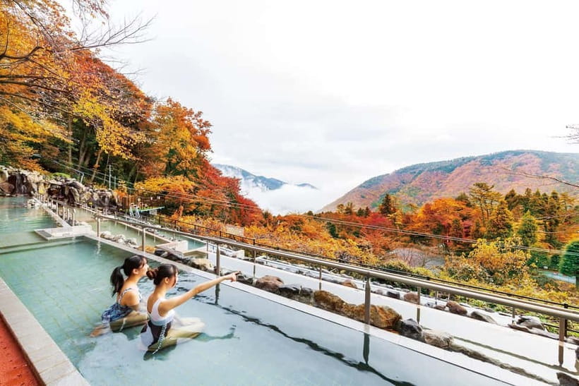 Kowakien Yunessun Hot Springs Entry Ticket - Wine, coffee, green tea, and sake baths