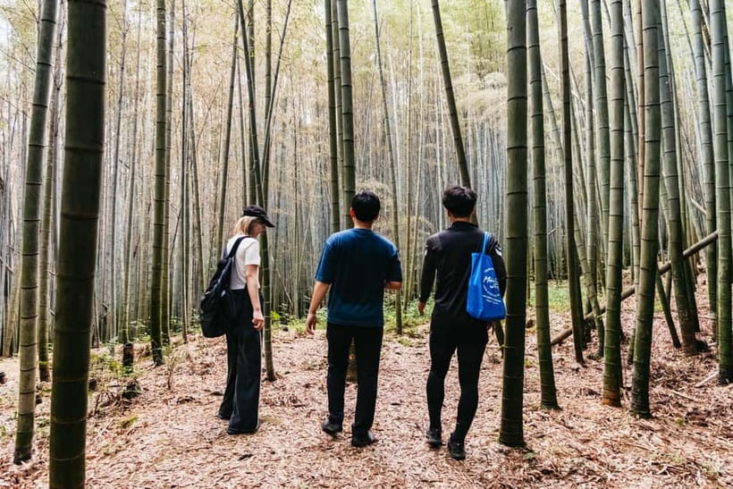 Kyoto: 3-Hour Fushimi Inari Shrine Hidden Hiking Tour - Coming down through more forest